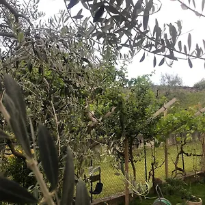 Apartment Bardolino,lago Di Garda, Appartamento,vacanze, Bardolino