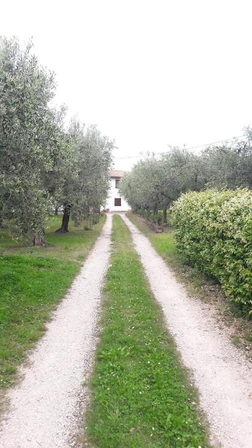 Casa Tra Gli Olivi Apartment Bardolino